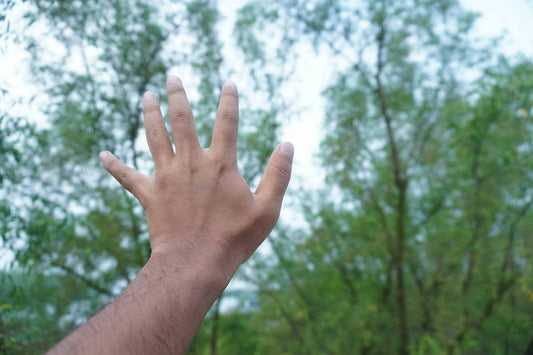Writing With the Senses